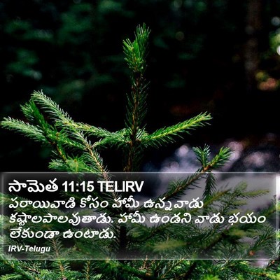 సామెత 11:15 TELIRV Bible Verse Image