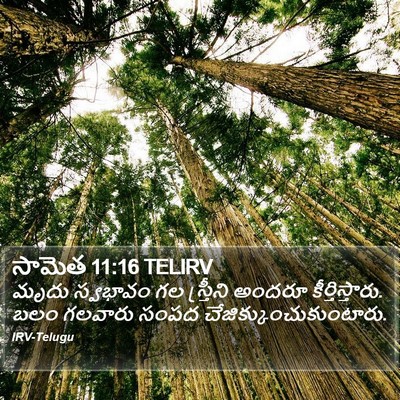 సామెత 11:16 TELIRV Bible Verse Image