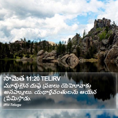 సామెత 11:20 TELIRV Bible Verse Image