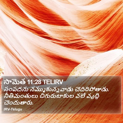 సామెత 11:28 TELIRV Bible Verse Image