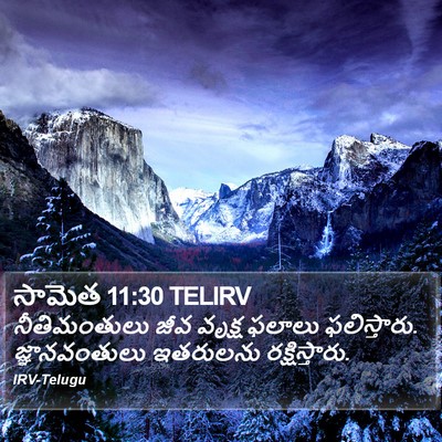 సామెత 11:30 TELIRV Bible Verse Image