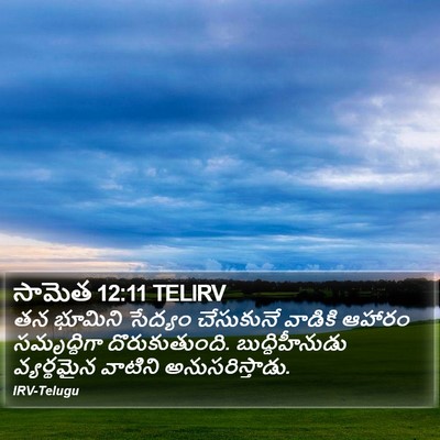 సామెత 12:11 TELIRV Bible Verse Image