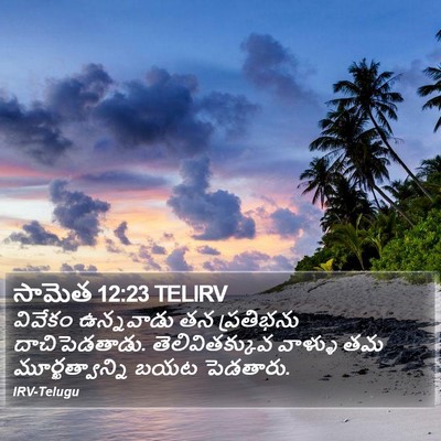 సామెత 12:23 TELIRV Bible Verse Image