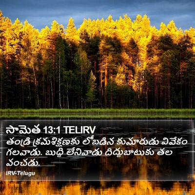 సామెత 13:1 TELIRV Bible Verse Image