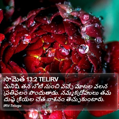 సామెత 13:2 TELIRV Bible Verse Image