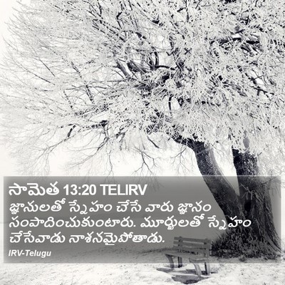 సామెత 13:20 TELIRV Bible Verse Image