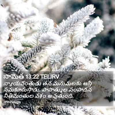 సామెత 13:22 TELIRV Bible Verse Image