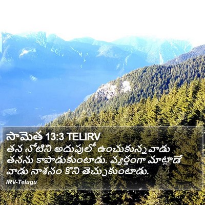 సామెత 13:3 TELIRV Bible Verse Image