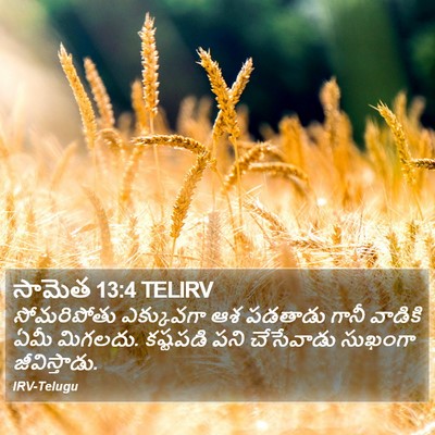 సామెత 13:4 TELIRV Bible Verse Image