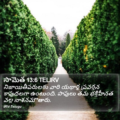 సామెత 13:6 TELIRV Bible Verse Image