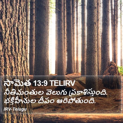 సామెత 13:9 TELIRV Bible Verse Image