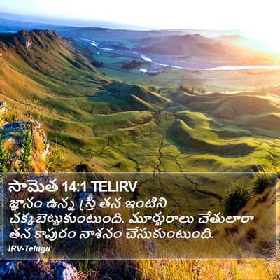 సామెత 14:1 TELIRV Bible Verse Image