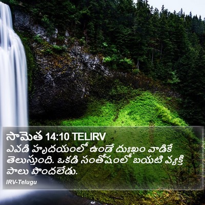 సామెత 14:10 TELIRV Bible Verse Image