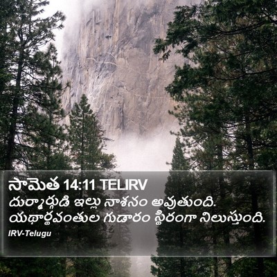 సామెత 14:11 TELIRV Bible Verse Image
