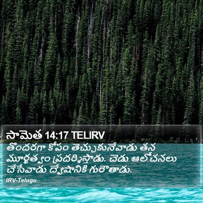 సామెత 14:17 TELIRV Bible Verse Image