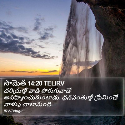 సామెత 14:20 TELIRV Bible Verse Image