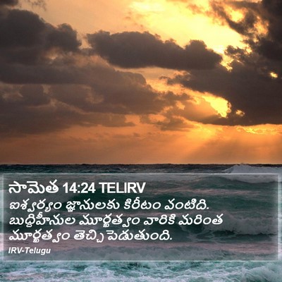 సామెత 14:24 TELIRV Bible Verse Image