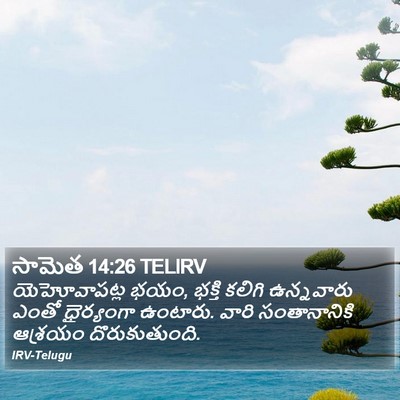 సామెత 14:26 TELIRV Bible Verse Image