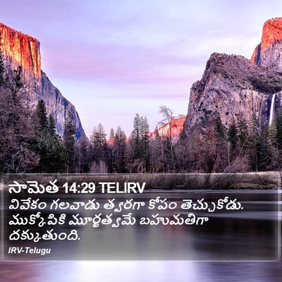 సామెత 14:29 TELIRV Bible Verse Image