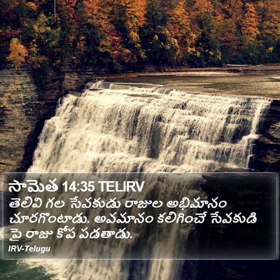సామెత 14:35 TELIRV Bible Verse Image