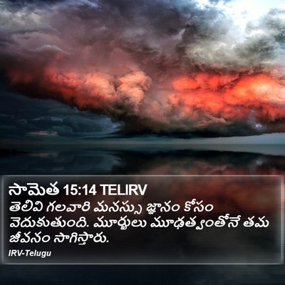 సామెత 15:14 TELIRV Bible Verse Image