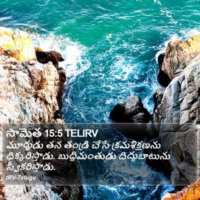 సామెత 15:5 TELIRV Bible Verse Image