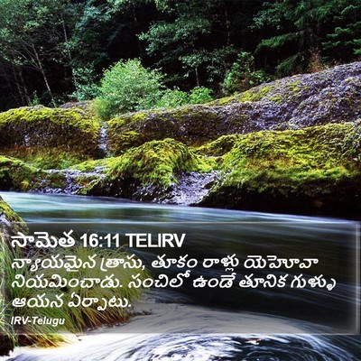 సామెత 16:11 TELIRV Bible Verse Image