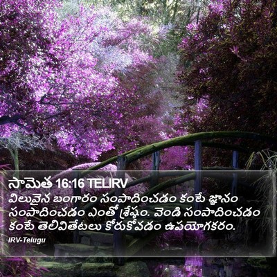 సామెత 16:16 TELIRV Bible Verse Image