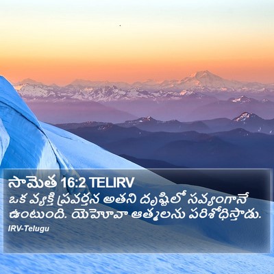 సామెత 16:2 TELIRV Bible Verse Image