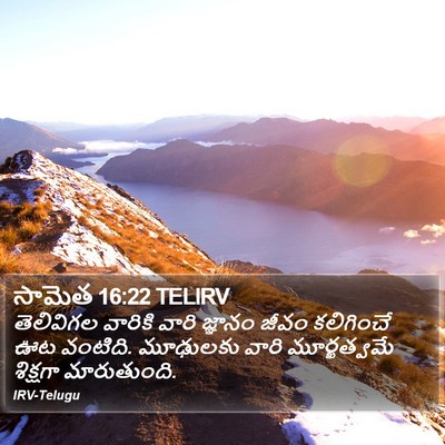 సామెత 16:22 TELIRV Bible Verse Image