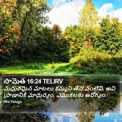 సామెత 16:24 TELIRV Bible Verse Image