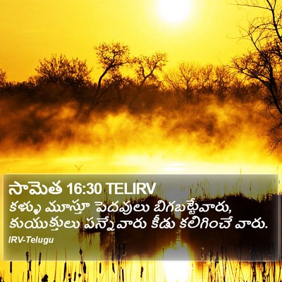 సామెత 16:30 TELIRV Bible Verse Image