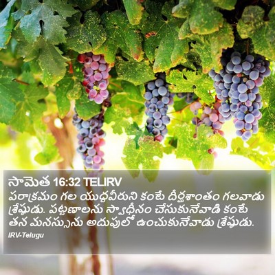 సామెత 16:32 TELIRV Bible Verse Image