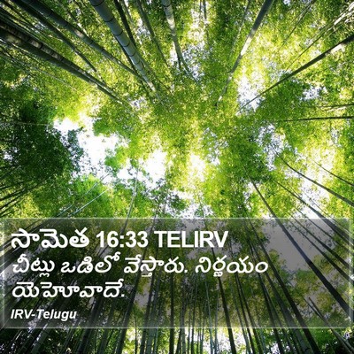 సామెత 16:33 TELIRV Bible Verse Image