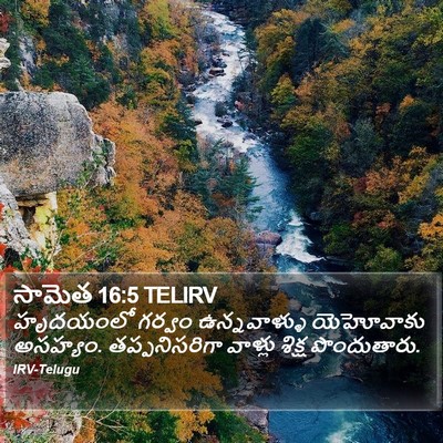 సామెత 16:5 TELIRV Bible Verse Image