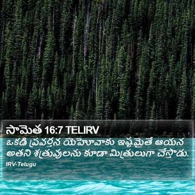 సామెత 16:7 TELIRV Bible Verse Image