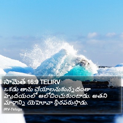 సామెత 16:9 TELIRV Bible Verse Image
