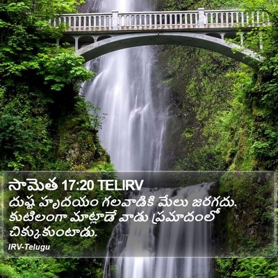 సామెత 17:20 TELIRV Bible Verse Image