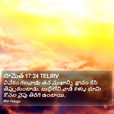 సామెత 17:24 TELIRV Bible Verse Image