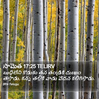 సామెత 17:25 TELIRV Bible Verse Image