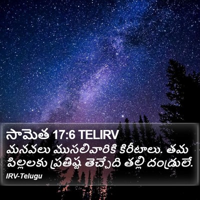 సామెత 17:6 TELIRV Bible Verse Image