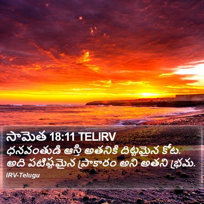 సామెత 18:11 TELIRV Bible Verse Image