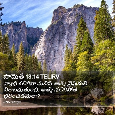 సామెత 18:14 TELIRV Bible Verse Image