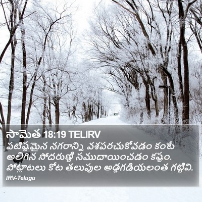 సామెత 18:19 TELIRV Bible Verse Image
