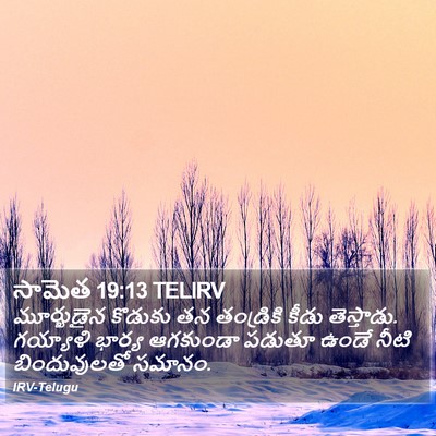 సామెత 19:13 TELIRV Bible Verse Image