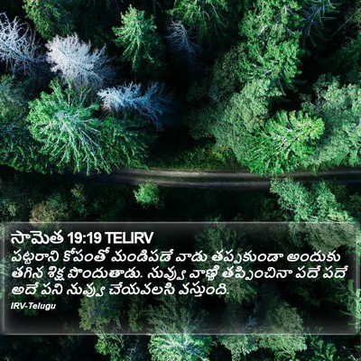 సామెత 19:19 TELIRV Bible Verse Image