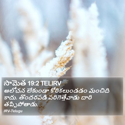 సామెత 19:2 TELIRV Bible Verse Image