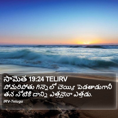 సామెత 19:24 TELIRV Bible Verse Image