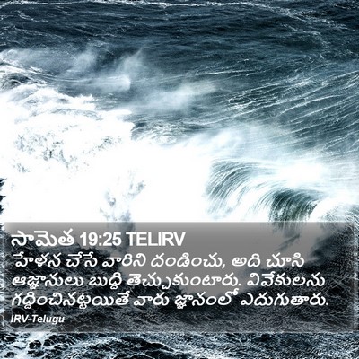 సామెత 19:25 TELIRV Bible Verse Image