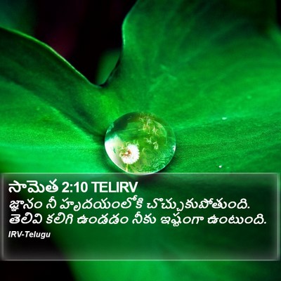 సామెత 2:10 TELIRV Bible Verse Image